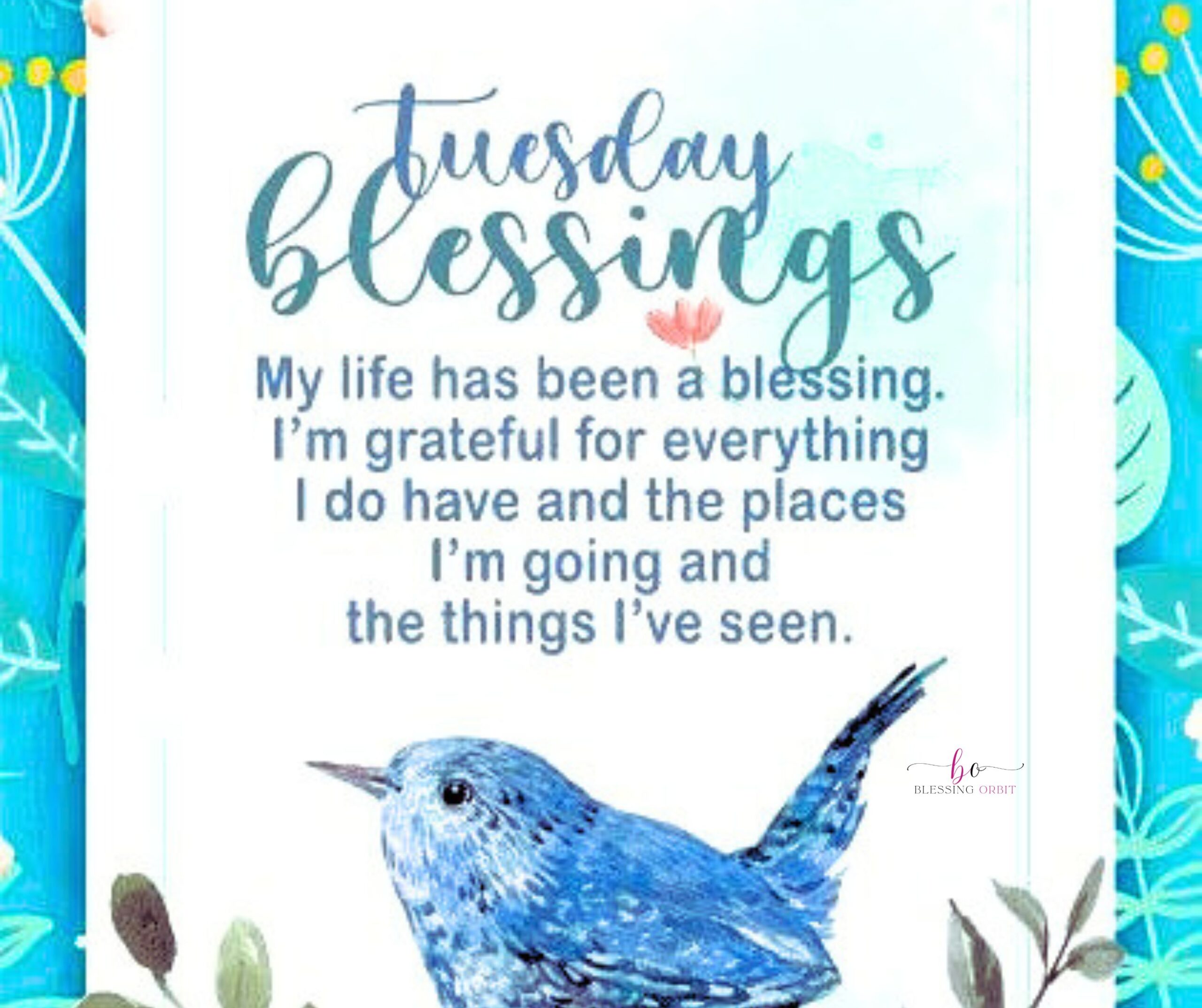 tuesday-afternoon-to-evening