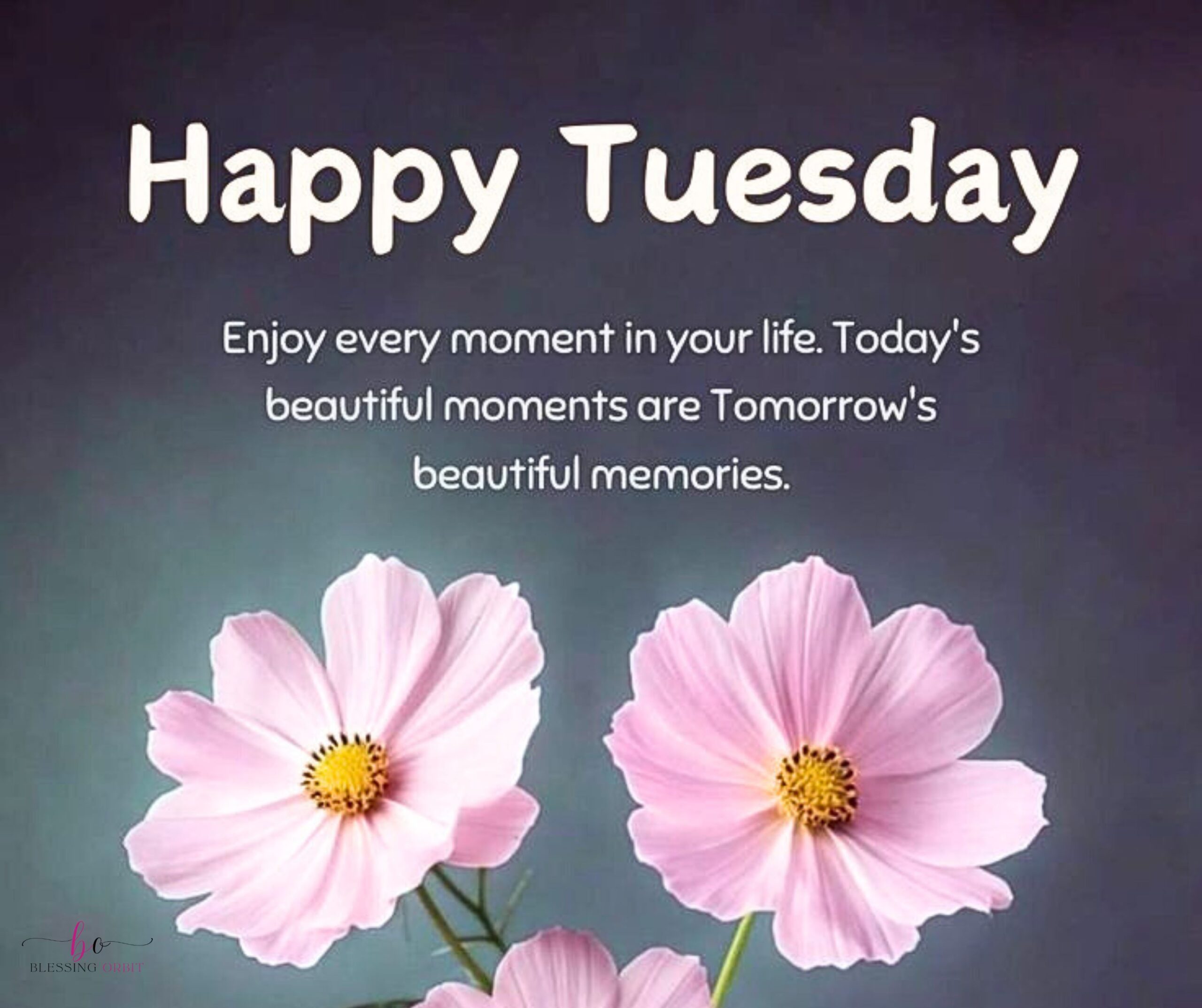 tuesday-blessings-images-and-picture-quotes