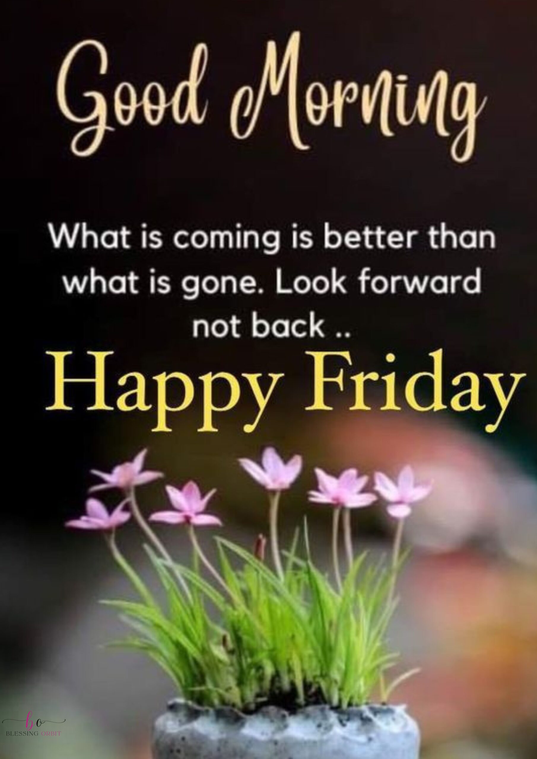 good-morning-friday-greetings