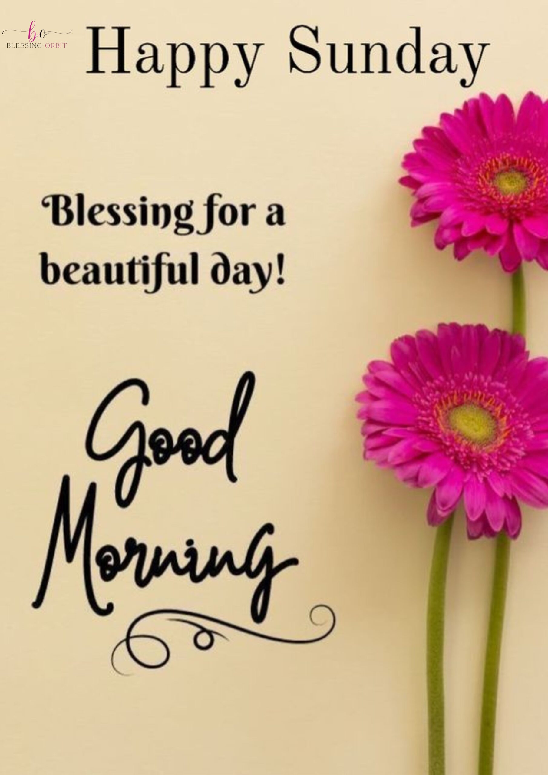 sweet-and-beautiful-sunday