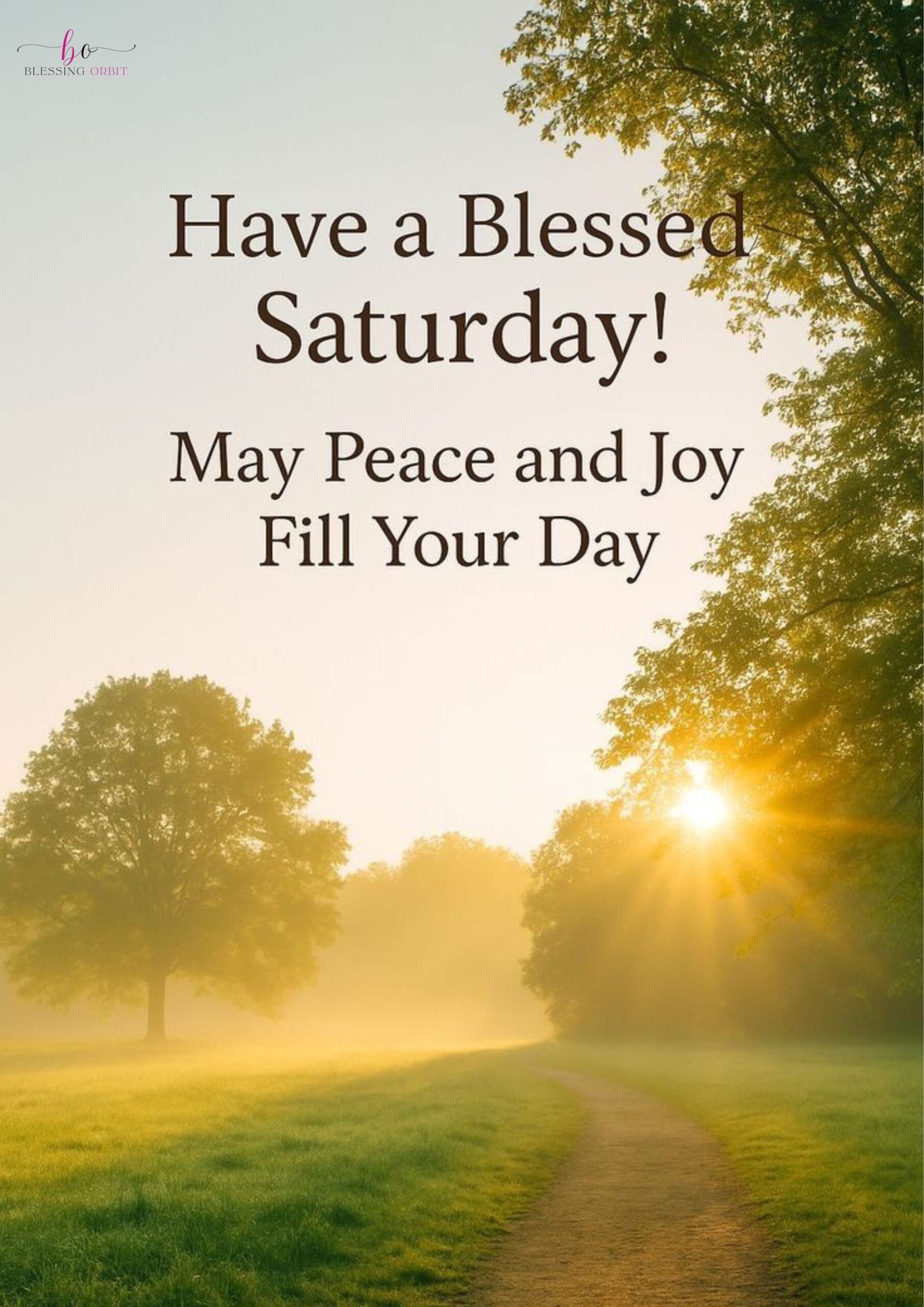 african-american-saturday